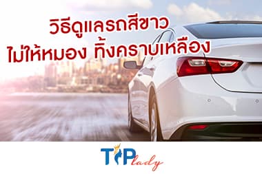 วิธีดูแลรถสีขาว ไม่ให้หมอง ทิ้งคราบเหลือง