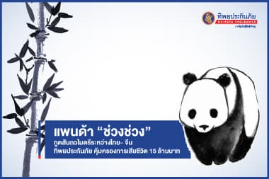 อาลัย แพนด้า “ช่วงช่วง” ทูตสันถวไมตรีระหว่างไทย- จีน ทิพยประกันภัยคุ้มครองการเสียชีวิต 15 ล้านบาท