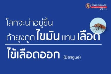 ไข้เลือดออก : โลกจะน่าอยู่ขึ้น ถ้ายุงดูดไขมันแทนเลือด!