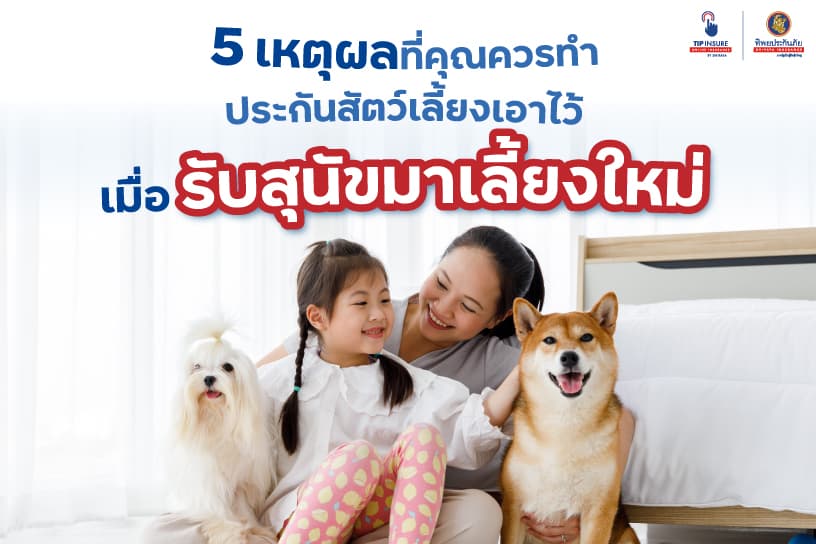 5 เหตุผลที่คุณควรทำประกันสัตว์เลี้ยงเอาไว้ เมื่อรับสุนัขมาเลี้ยงใหม่