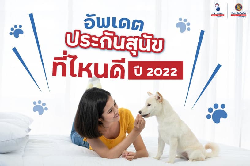 อัพเดต ประกันสุนัข ที่ไหนดี ปี 2022