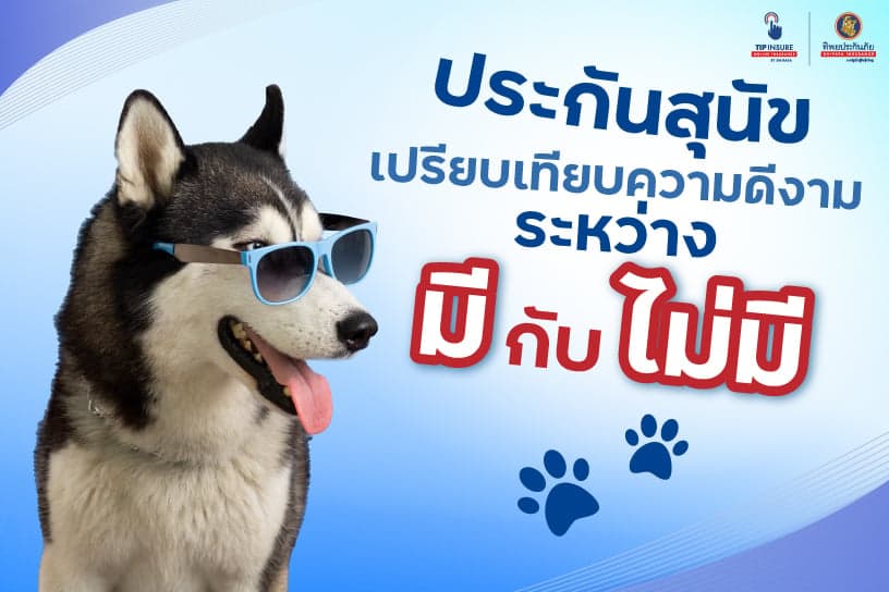 ประกัน สุนัข เปรียบเทียบความดีงาม ระหว่างมีกับไม่มี