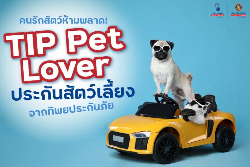 คนรักสัตว์ห้ามพลาด! TIP Pet Lover - ทิพยประกันภัยสัตว์เลี้ยง