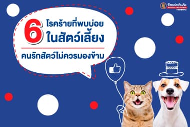 6 โรคร้ายที่พบบ่อยในสัตว์เลี้ยง คนรักสัตว์ไม่ควรมองข้าม