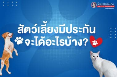 สัตว์เลี้ยงมีประกันจะได้อะไรบ้าง?