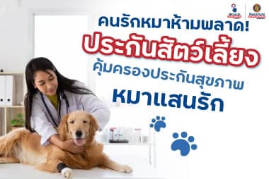 คนรักหมาห้ามพลาด! ประกันสัตว์เลี้ยง คุ้มครองประกันสุขภาพหมาแสนรัก
