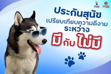 ประกัน สุนัข เปรียบเทียบความดีงาม ระหว่างมีกับไม่มี