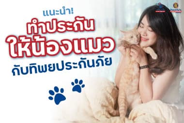 แนะนำ! ทำประกันให้น้องแมวกับทิพยประกันภัย ทำง่ายๆ ได้ความคุ้มครองที่คุ้มค่า
