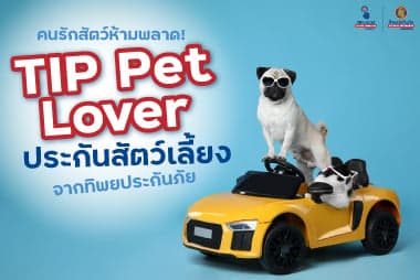 คนรักสัตว์ห้ามพลาด! TIP Pet Lover - ทิพยประกันภัยสัตว์เลี้ยง