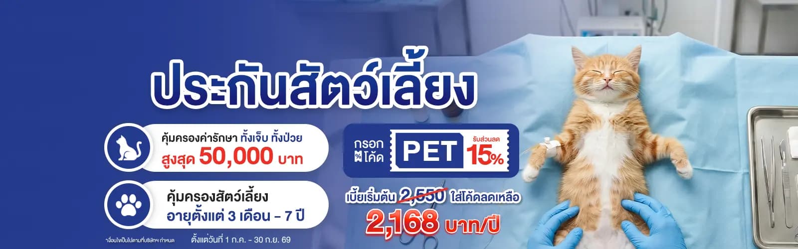 Promotion image