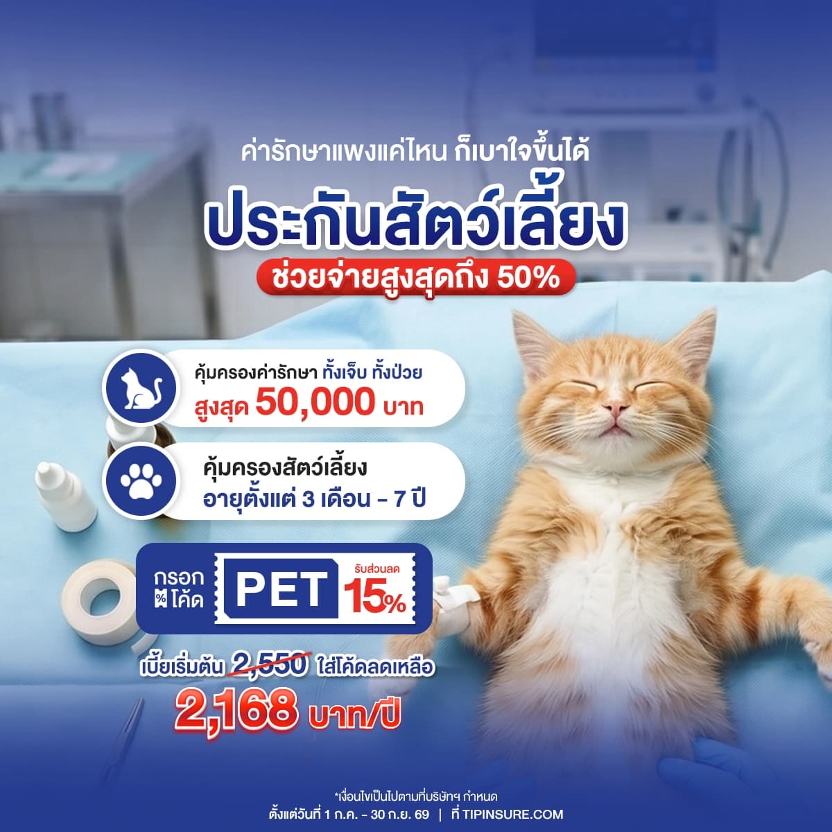 Promotion image