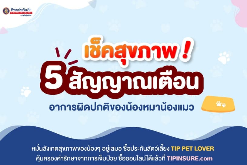 เช็คสุขภาพ! 5 สัญญาณเตือนอาการผิดปกติของน้องหมาน้องแมว