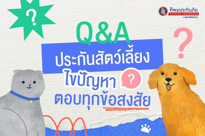 Q&A ประกันสัตว์เลี้ยง ไขปัญหา ตอบทุกข้อสงสัย