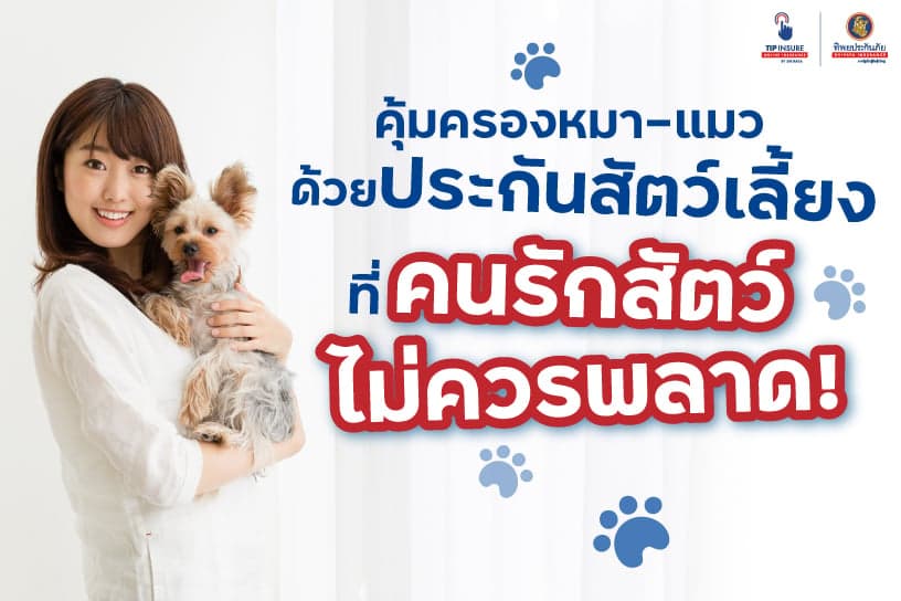 คุ้มครองหมา-แมว ด้วยประกันสัตว์เลี้ยง ที่คนรักสัตว์ไม่ควรพลาด!