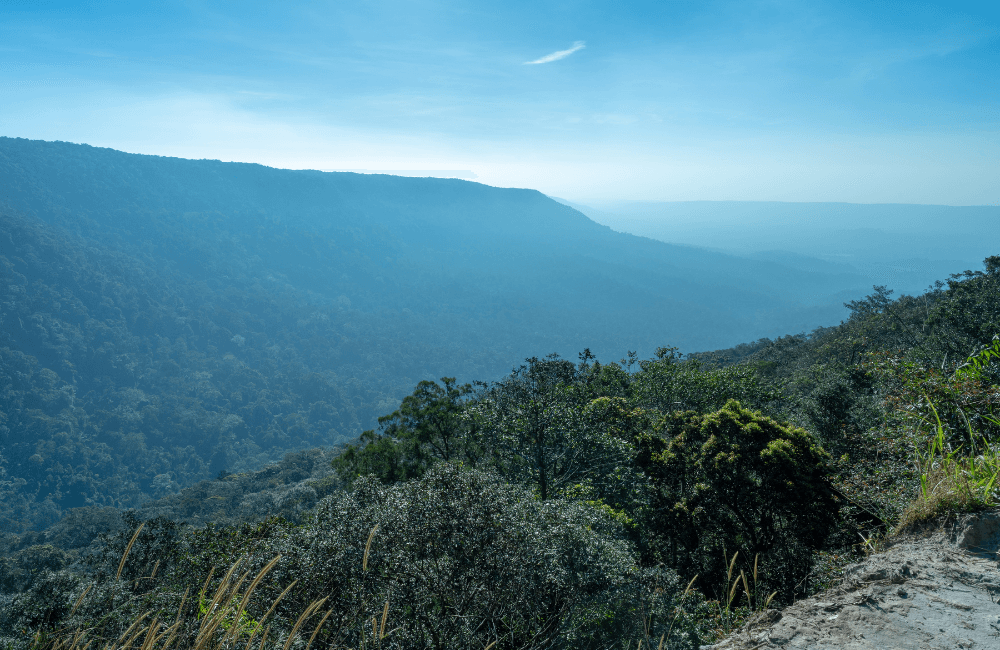 อุทยานแห่งชาติเขาใหญ่