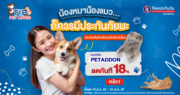 ซื้อประกันสัตว์เลี้ยง คลิกเลย